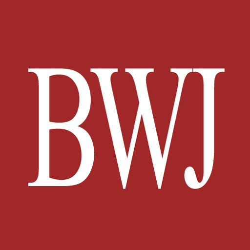 BWJ Storm logo